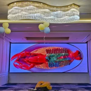 20241207_173332-1-1.webp 20241207_173332-1-1.webp